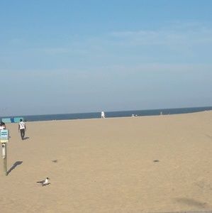 Meet your Posher, Colleen